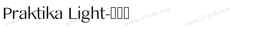 Praktika Light字体转换
